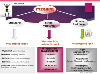 Grafik zu verschiedenen Stressfaktoren