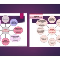 Übersicht Burn-Out Symptomatik